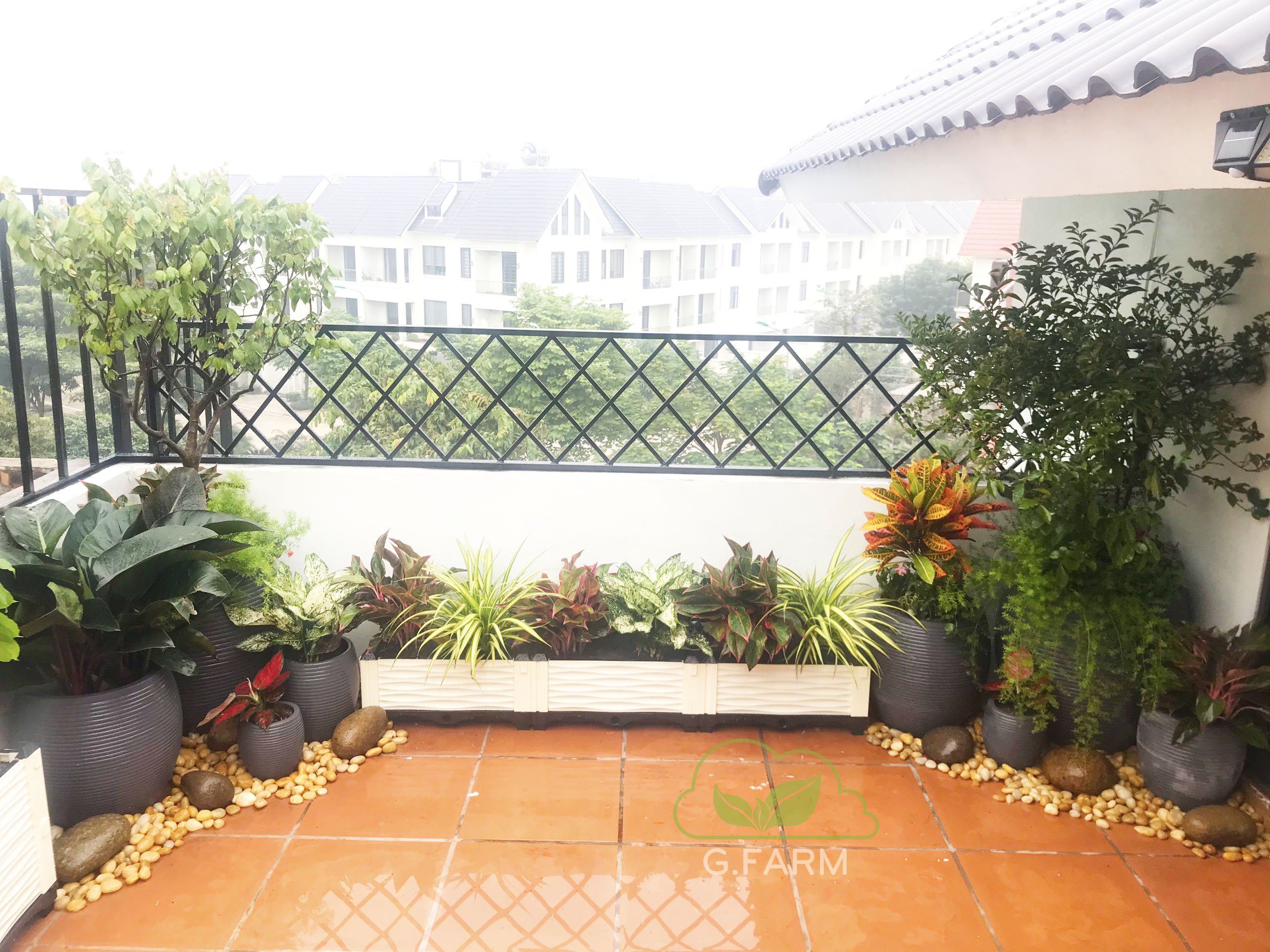 Vườn chị Thủy Geleximco